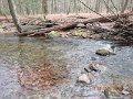 DSCN0215