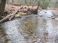 DSCN0217