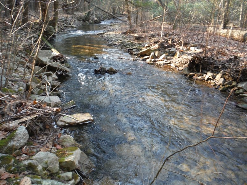DSCF0022.jpg - The water was nearly perfect.