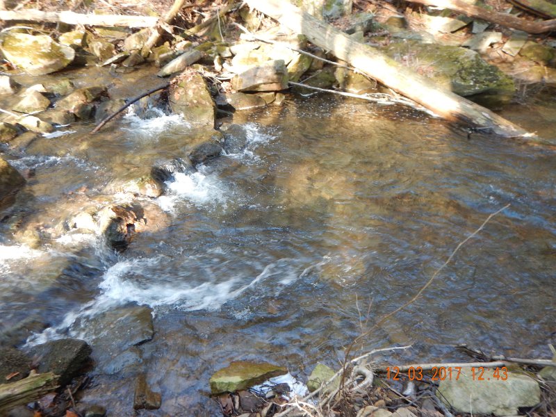 DSCN2911.jpg - I hit a fish or two here too!  