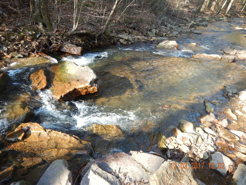 DSCN2926.jpg - Seemed like the farther downstream we ventured, the prettier the stream got. 