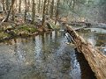 DSCF0010