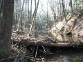 DSCF0017