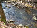 DSCF0024