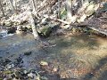DSCN2913