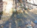 DSCN2917