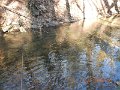 DSCN2919