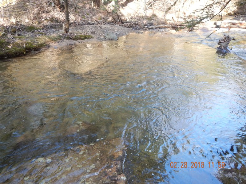 DSCN2966.jpg - Can't see it real well but this is the spot we pulled a couple from.