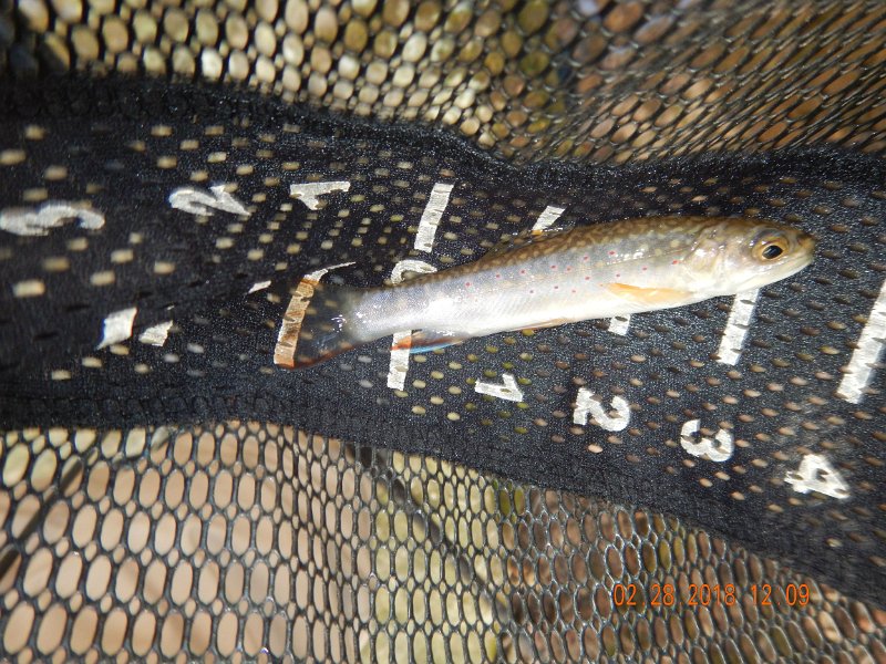 DSCN2969.jpg