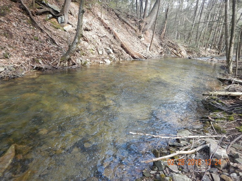 DSCN2973.jpg - Water was gin clear and shadows were the enemy.