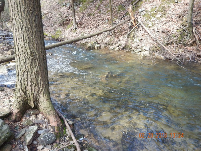 DSCN2974.jpg - Stick to the broken water and you could pretty much walk up on the stream.