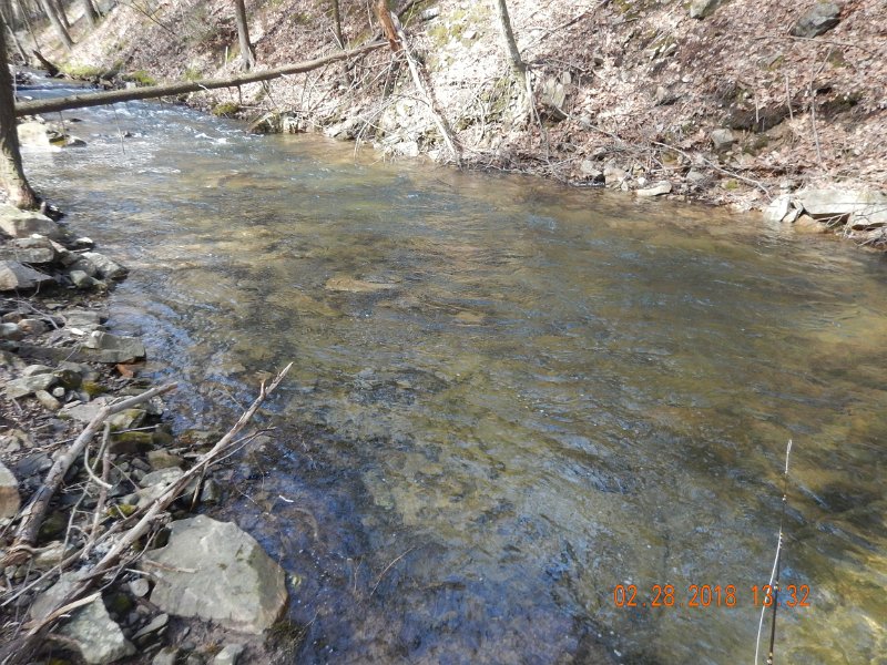 DSCN2976.jpg - Here is where the last fish was living.