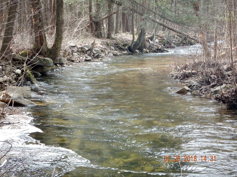 DSCN2981.jpg - This stream is just inviting.