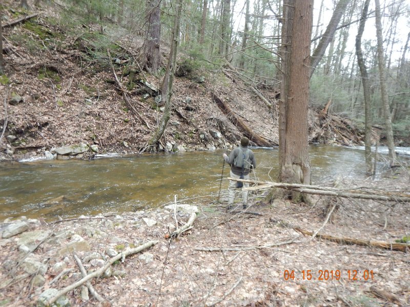 $LaurelRun1006$.jpg - Ed on Laurel.  This was one of the nicer pools we fished.
