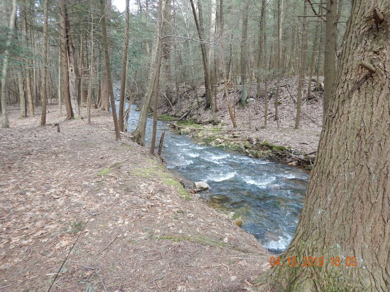 $LaurelRun1015$.jpg - Really a pretty stream and if it hadn't been for the crappy weather I suspect we would have done much better.