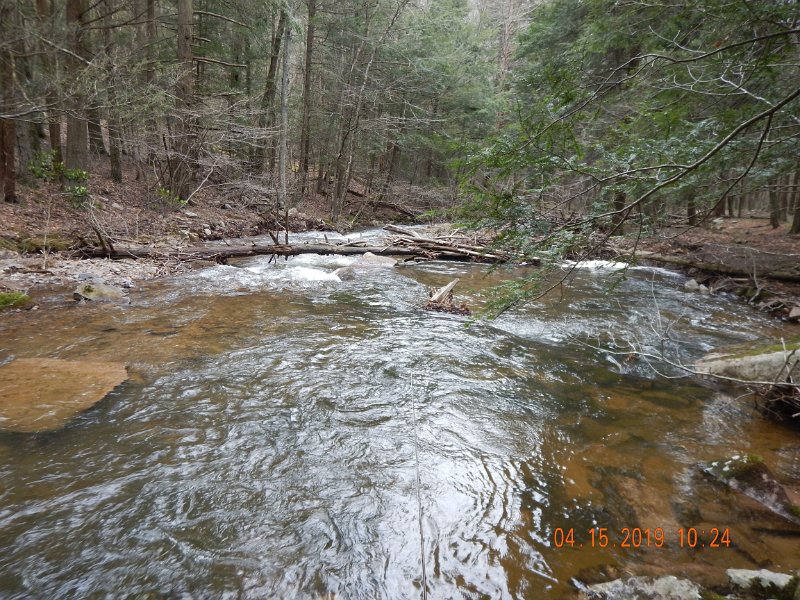 $LaurelRun1019$.jpg - Here is where the first two fish came from.  Heavy rain the night before filled the stream to capacity.  Wasn't going tobe a dry fly day.