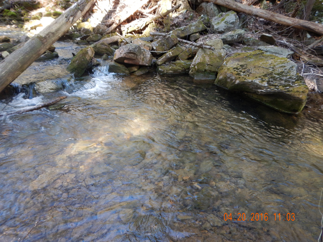 DSCN1107.jpg -                                This hole and others like it held most of the trout.