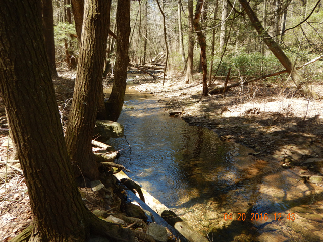 DSCN1120.jpg -                                The last fish came from this hole.  But, more than one fish per hole was the exception on this day.