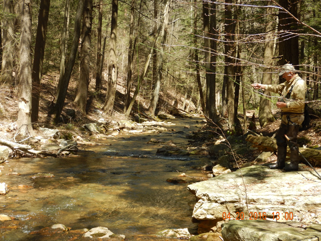 DSCN1125.jpg -                                Ed at stream side getting ready to cast.