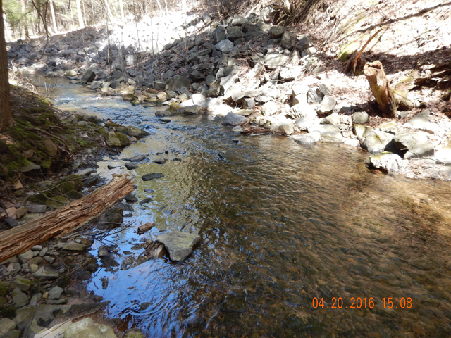 DSCN1130.jpg -                                You simply can't pass up fishing these types of runs.