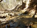 DSCN1118