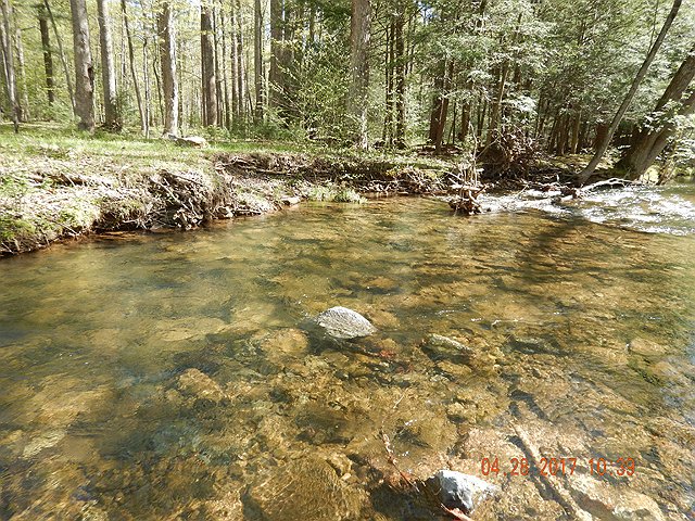 DSCN1956.jpg - The water level was ideal but I believe many of these fish are still caught in last winters hideouts and are reluctant to take a dry.                               
