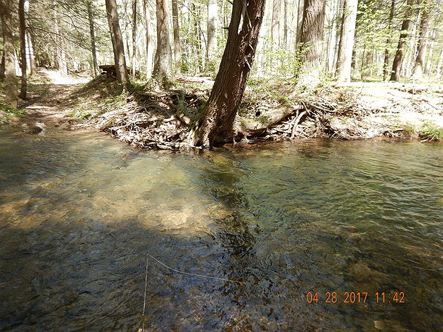 DSCN1960.jpg -                                The water is pretty deep in some of the holes.  Sometimes switching to a numph is necessary to coax a fish to bite.