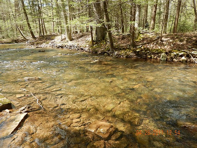 DSCN1962.jpg -                                