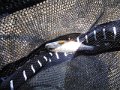 DSCF0133