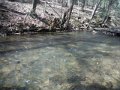 DSCF0135