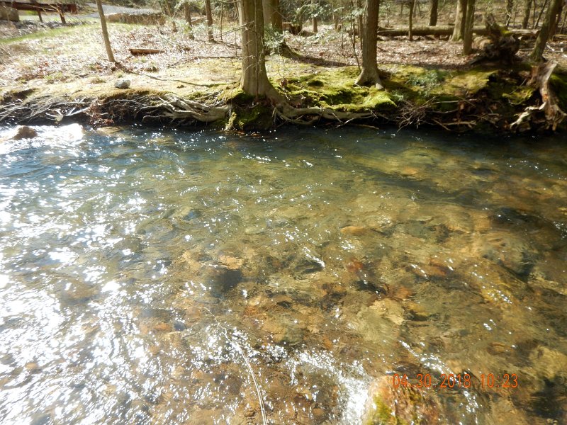 DSCN3123.jpg - Water flows were up too.  Lots of water compared to normal conditions.