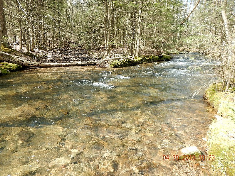 DSCN3124.jpg - Most of the trout holding areas are obscured with high flows.