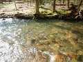 DSCN3123