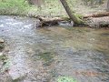 $LaurelRunb019$
