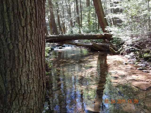 DSCN0361.jpg -                                