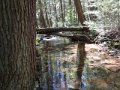 DSCN0361