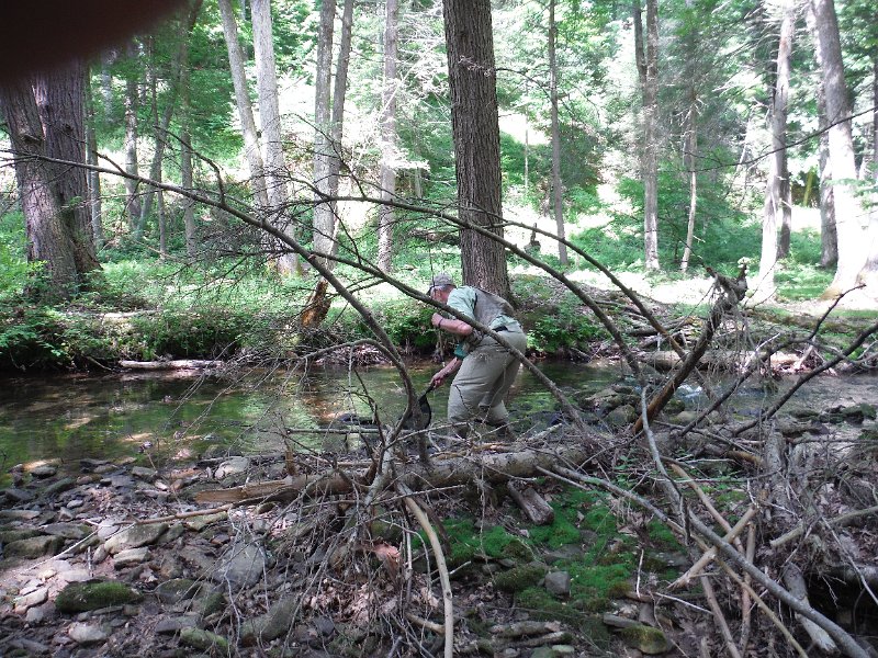 DSCF0163.JPG