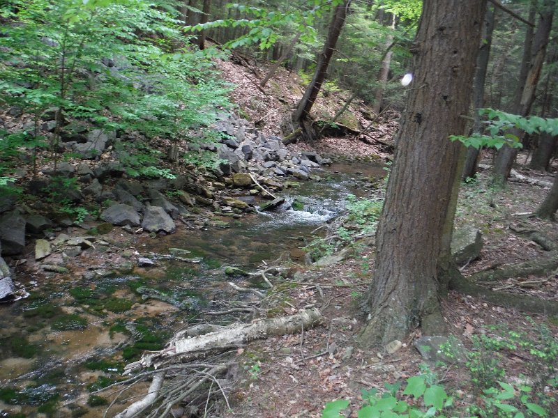 DSCF0172.JPG