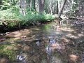 DSCF0167