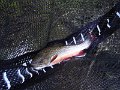 DSCF0169