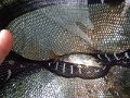 DSCN0366