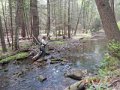 DSCN0368