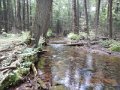 DSCN0374