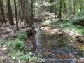 DSCN0379