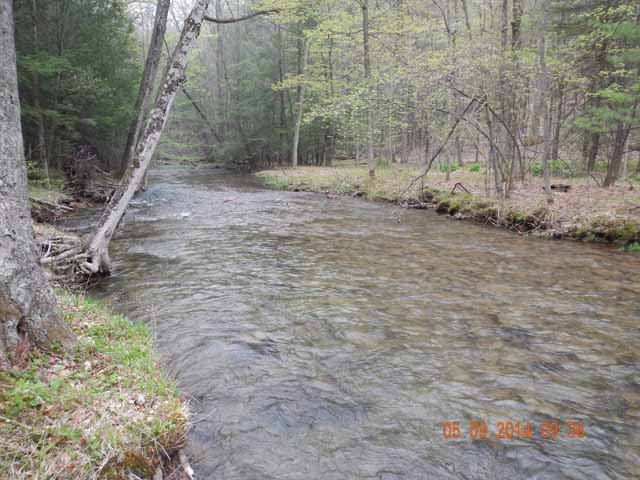 DSCN0618.jpg -                                