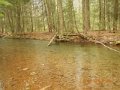 DSCN0626