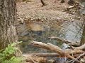 DSCN0641