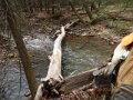 DSCN0642
