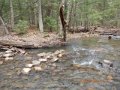 DSCN0647