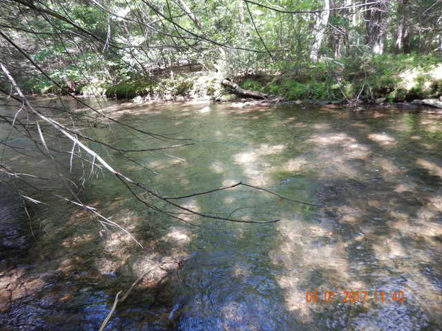 DSCN2107.jpg -                                The stream was full and the water was a bit faster than expected but I guess I'll find anything to complain about.  T'was a fine sunny day with a stiff breeze.